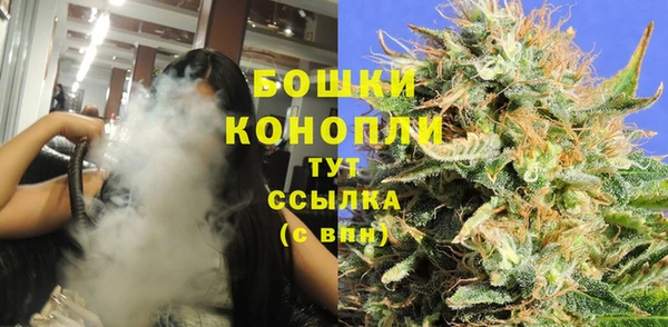 мяу мяу мука Белокуриха