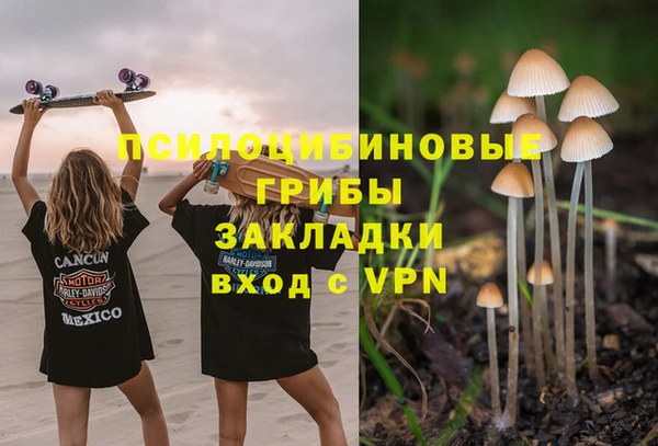 эйфоретик Богданович