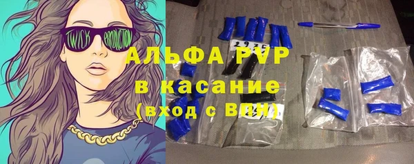 эйфоретик Богданович