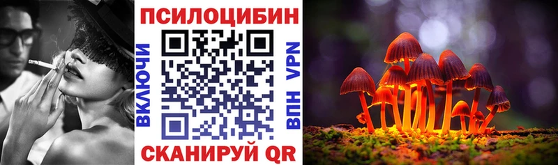 Галлюциногенные грибы Cubensis  Купить где  Жиздра 